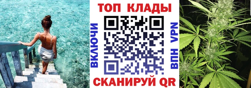 Наркошоп купить Каннабис  Псилоцибиновые грибы  ГАШ  Мефедрон  Новая Ладога