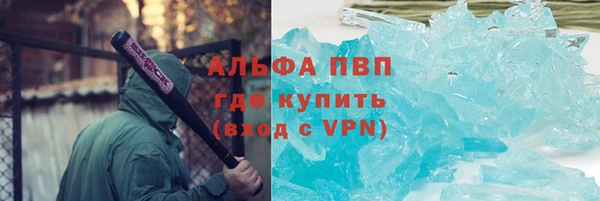 PSILOCYBIN Волосово
