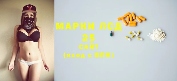 PSILOCYBIN Волосово