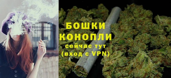 PSILOCYBIN Волосово