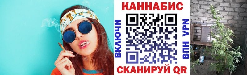 Конопля SATIVA & INDICA  Купить где  Новая Ладога 